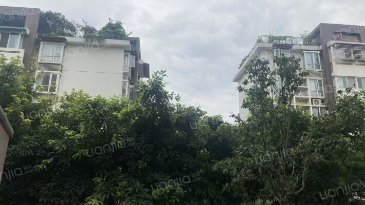 向龙小区外景图