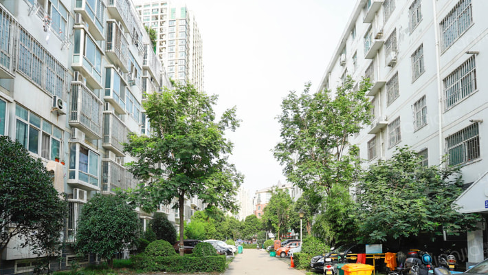 西湖春天外景图