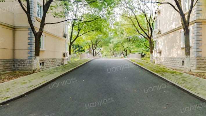 武家嘴新村房源|户型图|小区车位|交通地址详情分析!