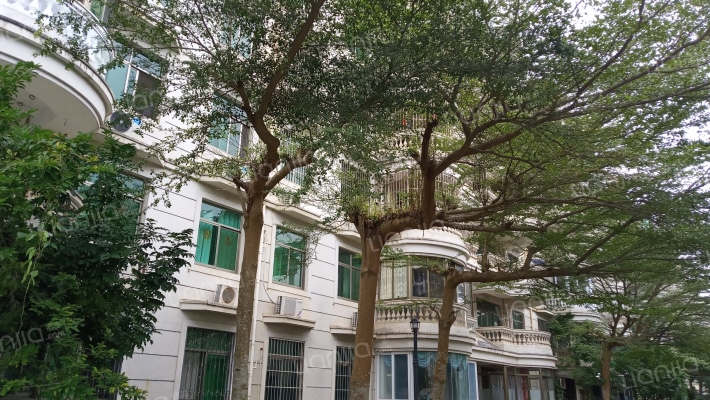 阳光巴洛克小区外景图