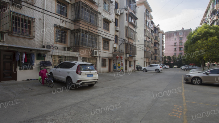 舜杰花苑外景图