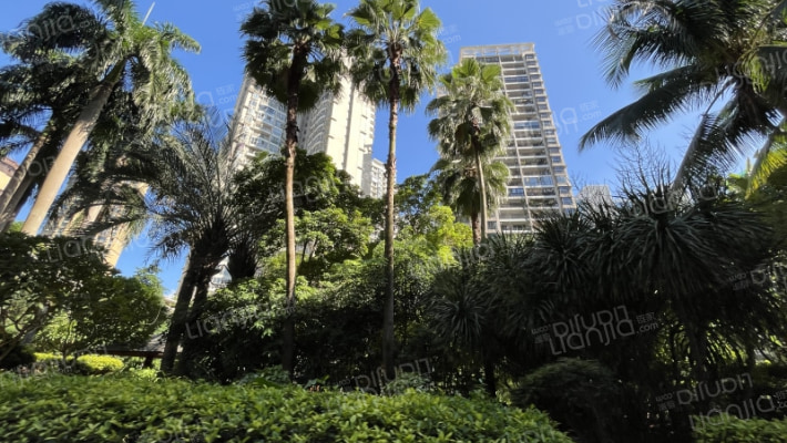 消息测试保留外景图