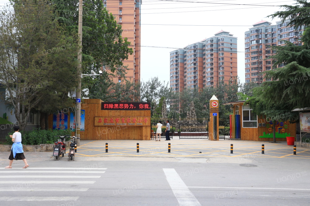 高远森林城相册