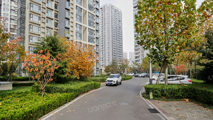 海信花伴里外景图