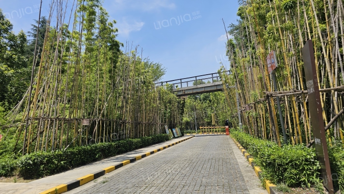 融湖雅墅外景图