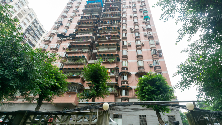 树发大厦外景图