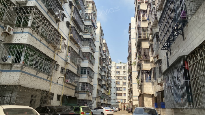 食品肉联厂宿舍外景图