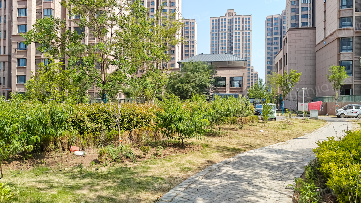 南湖月亮湾外景图