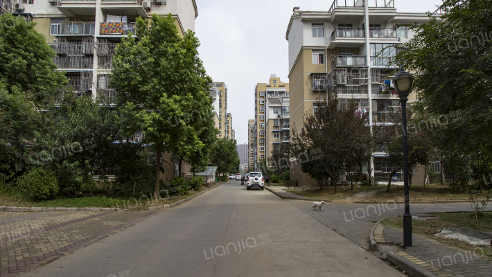 微山花园外景图