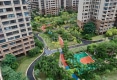 绿地海森林31