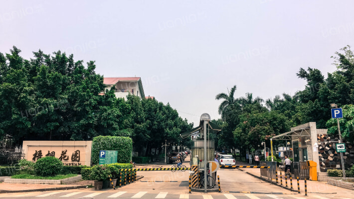 深圳梧桐花园小区 梧桐花园详细信息 二手房 租房 小区顾问 深圳链家