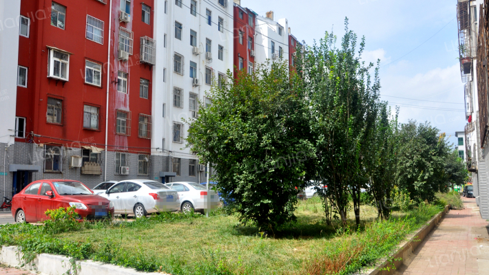 安乐街小区外景图