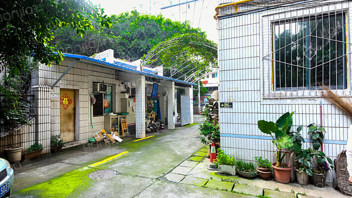 胜利村110号附1号外景图