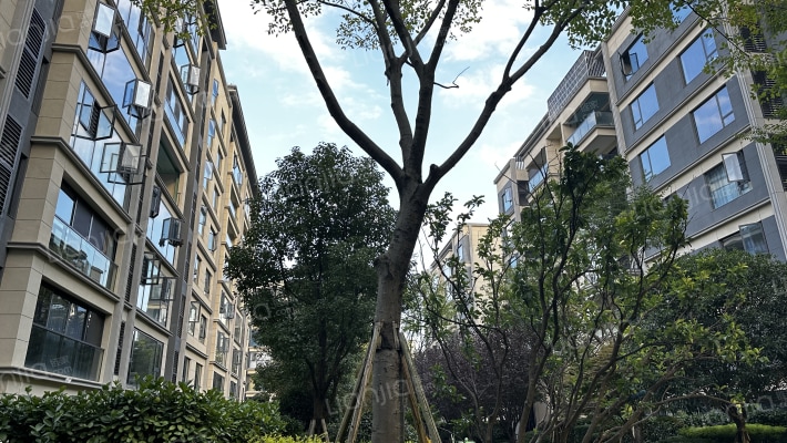 龙湖景粼天著印月阑外景图