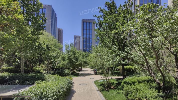 林肯公园C区外景图