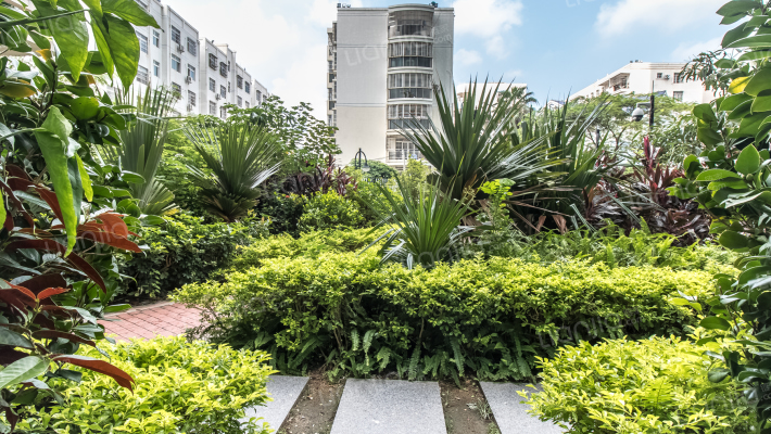 滨海阳光外景图