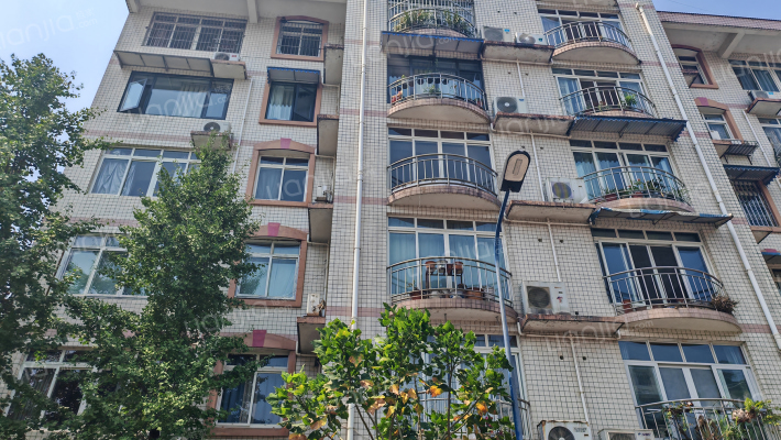 建委甲区宿舍外景图