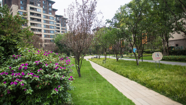 万科悦湾南区外景图