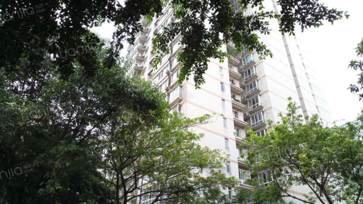 星辉家园外景图