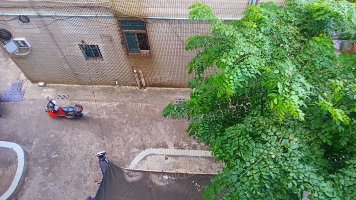 海南华侨大院外景图