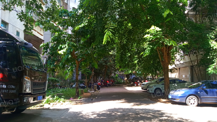 金龙新村外景图