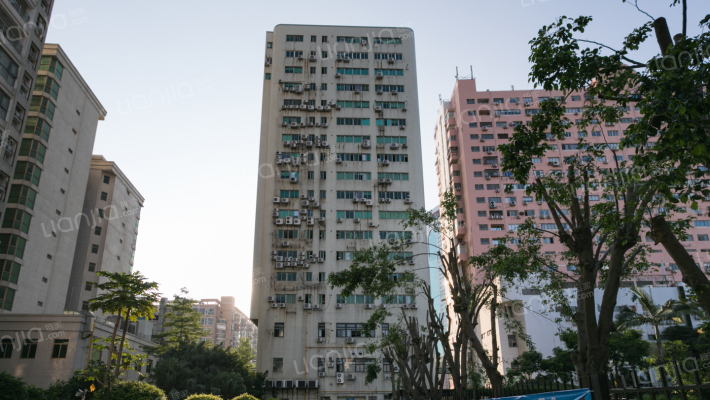 国骏大厦外景图