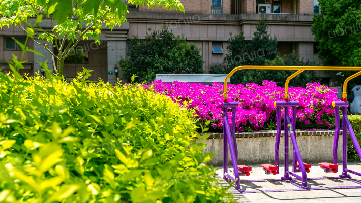 中信和平家园外景图