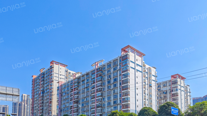 厢竹大道33号外景图