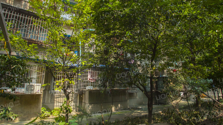 营和巷52号外景图