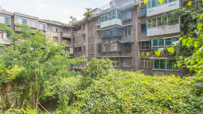 解五小区外景图