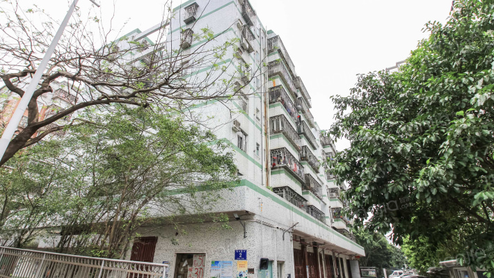 新裕综合楼外景图