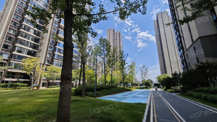 碧桂园月湖湾外景图