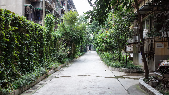 双槐树街90号外景图