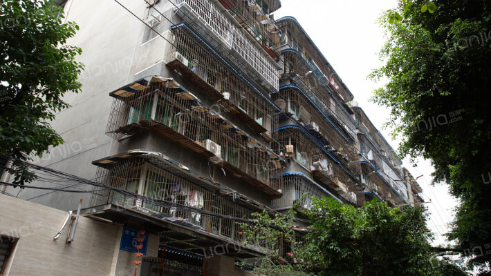 牧电后街6号外景图