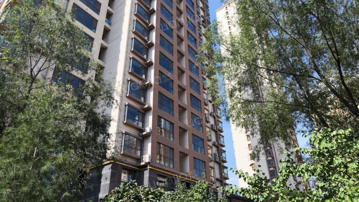 辰光金座外景图