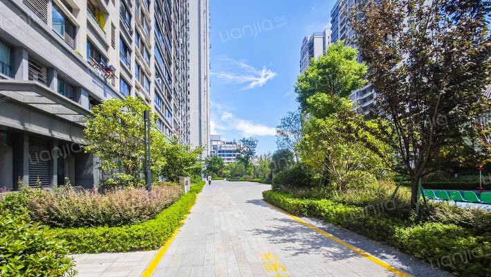 滨月轩二组团外景图