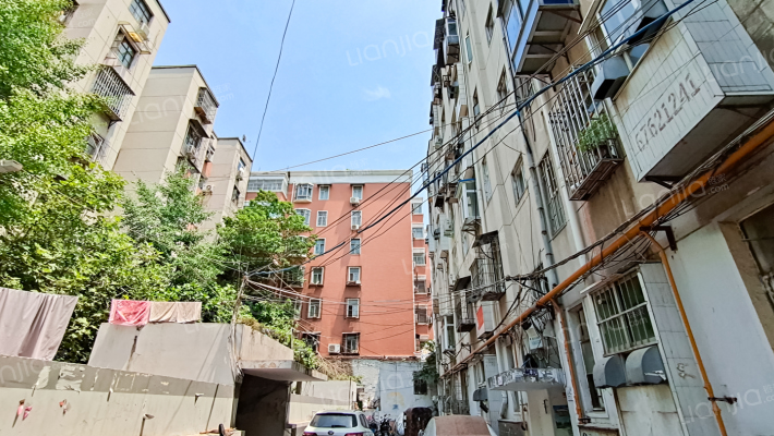 烟厂后街19号外景图