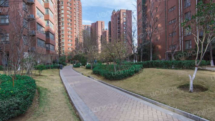 建业枫林上院外景图