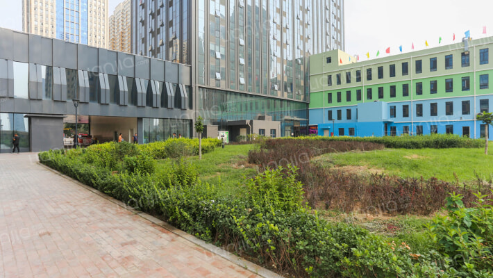 亲海国际外景图