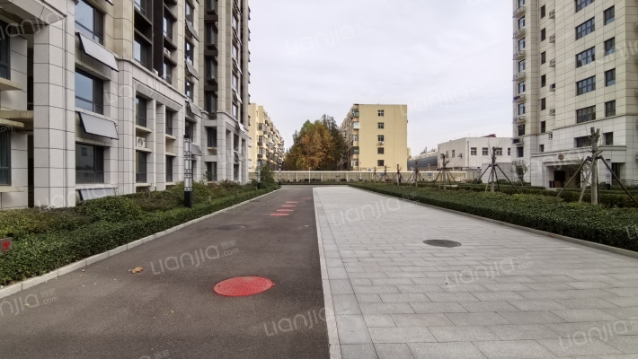 巨科合园外景图