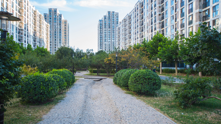 柏林爱乐四期外景图