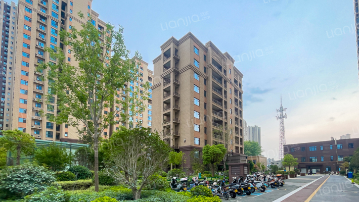 未来之光外景图