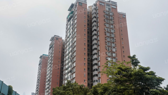 嘉隆星苑外景图