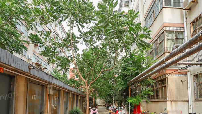 中原区教师住宅小区外景图