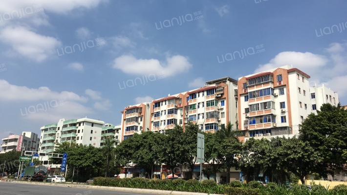 番艺花园外景图