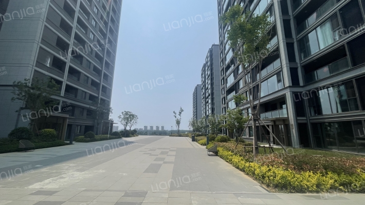 明月听澜外景图