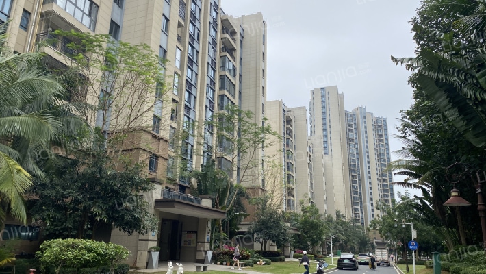 碧桂园中央首府一期外景图