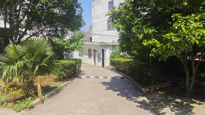 中医院宿舍外景图