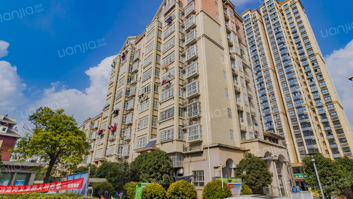 风荷丽景外景图