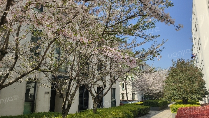 良渚文化村白鹭郡东外景图